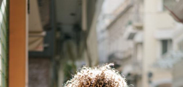 Stroll the Peaceful Avenues of the First Cemetery of Athens