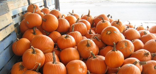 Diane Kochilas’ soul-warming Pumpkin recipes to ring in November