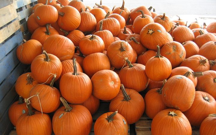 Diane Kochilas’ soul-warming Pumpkin recipes to ring in November